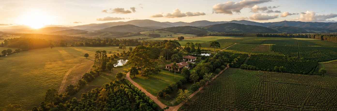 Vista aérea de fazenda ao entardecer